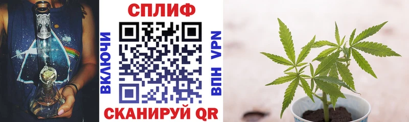 магазин продажи наркотиков  Шиханы  Конопля VHQ 